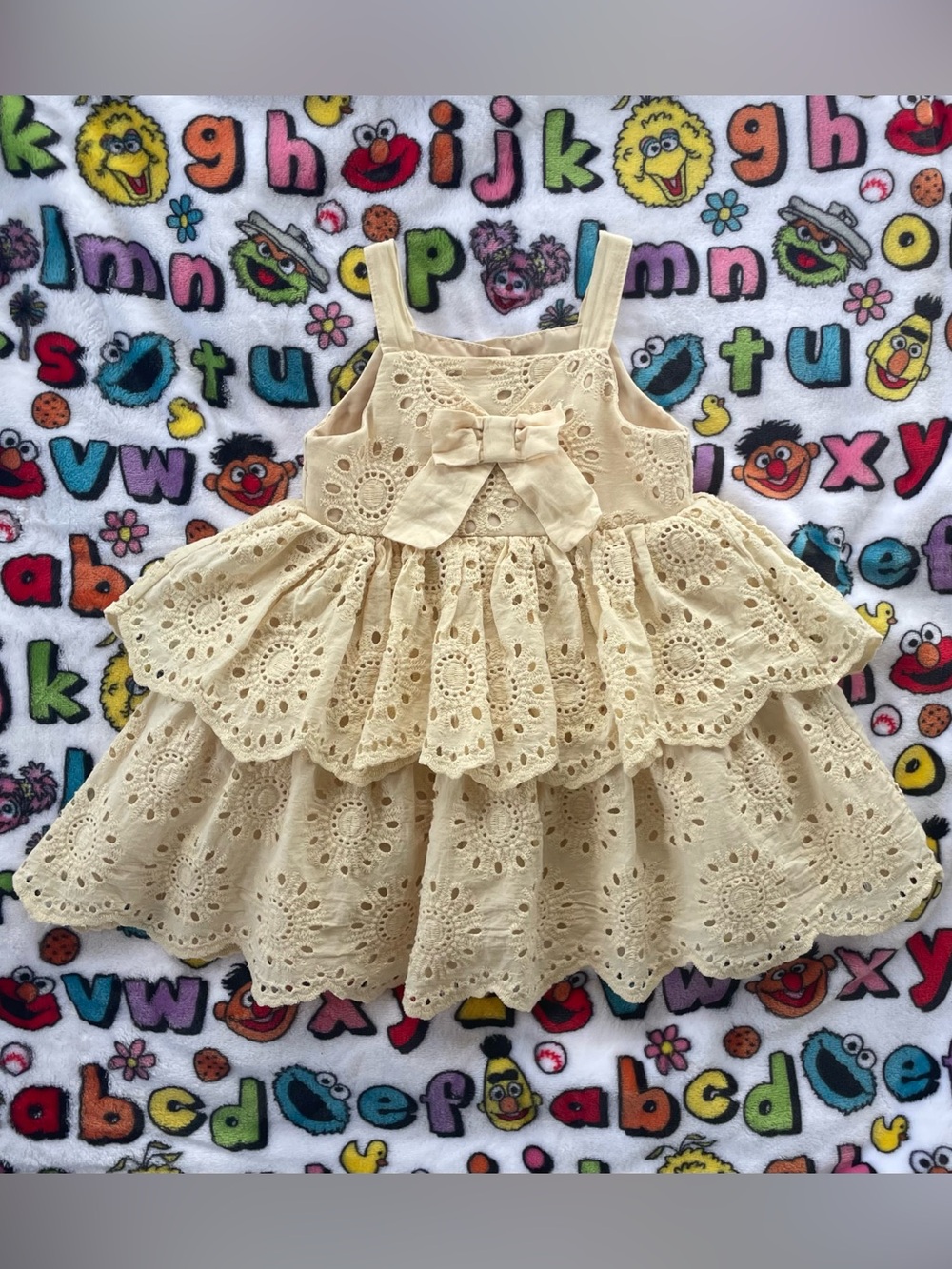 💛 Blueberri Boulevard Ruffle Eyelet Lace Dress (Size 12M) EUC/Like New